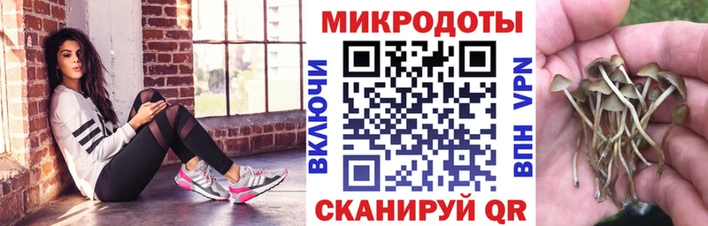 Псилоцибиновые грибы MAGIC MUSHROOMS  Купить где  Лабинск 